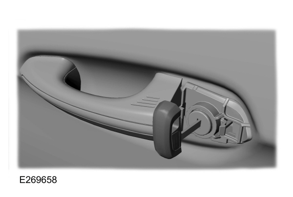 Image Shown Without Description