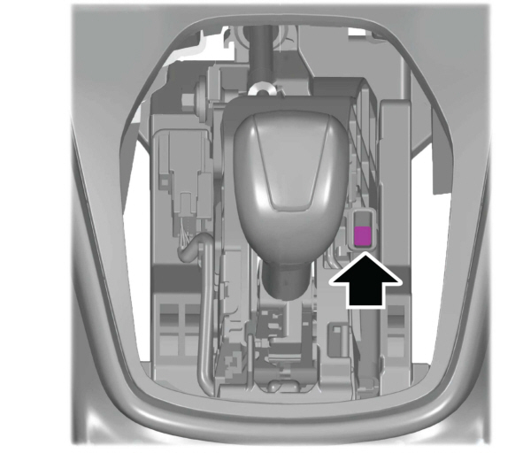 Image Shown Without Description