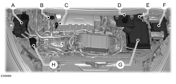 Image Shown Without Description