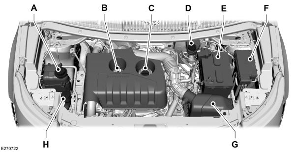 Under Hood Overview
