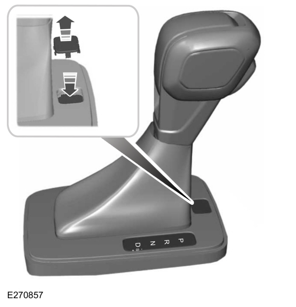 Image Shown Without Description