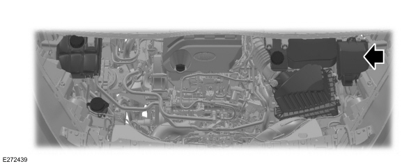 Image Shown Without Description