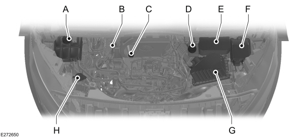 Image Shown Without Description