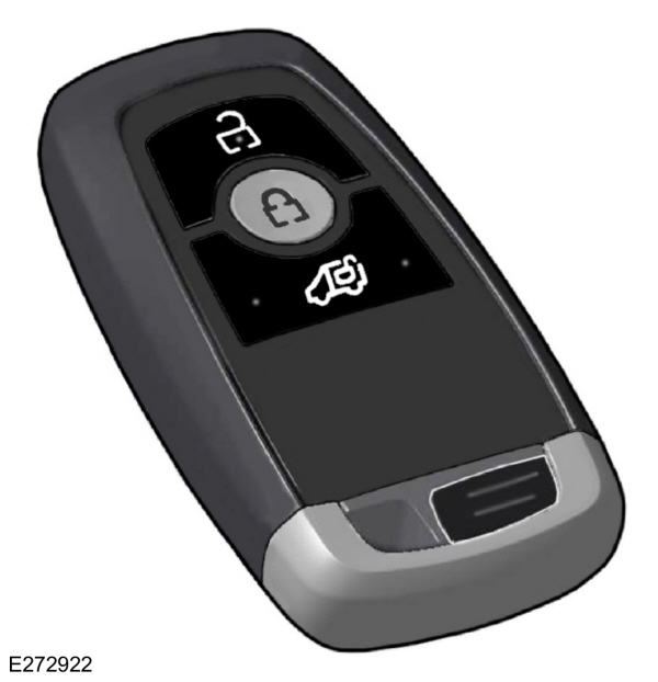 Image Shown Without Description