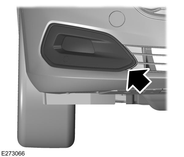 Image Shown Without Description