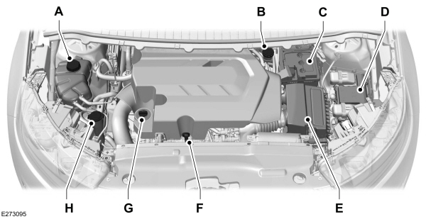 Under Hood Overview