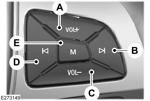 Steering Wheel - Audio Control Buttons