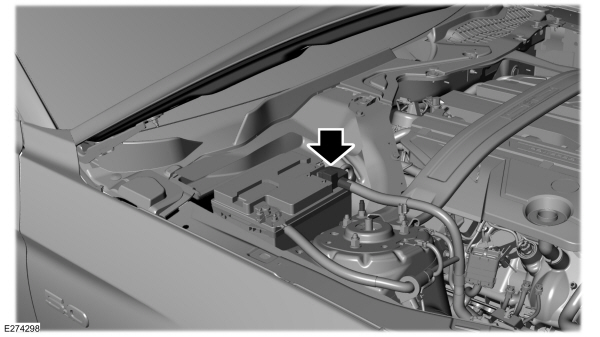 Image Shown Without Description