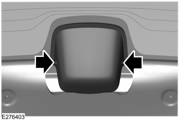 Image Shown Without Description