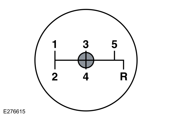 Image Shown Without Description
