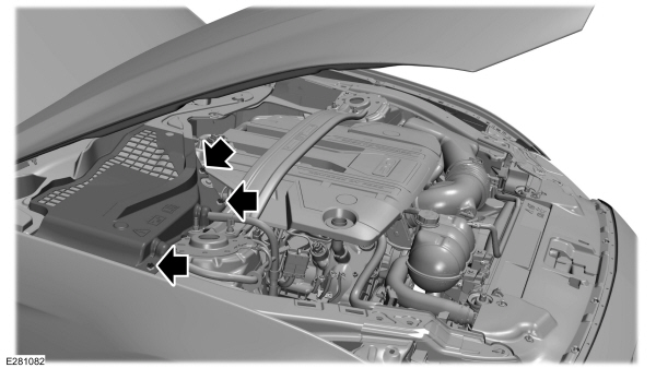 Image Shown Without Description