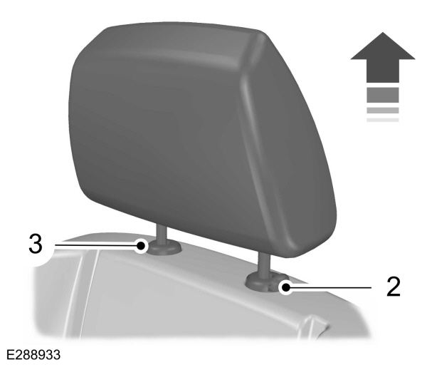 Image Shown Without Description