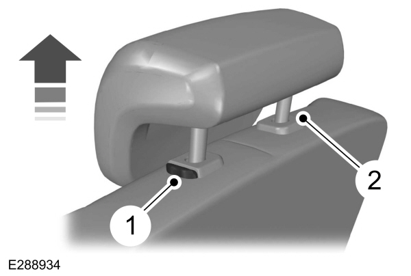 Image Shown Without Description