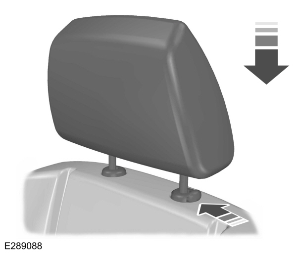 Image Shown Without Description