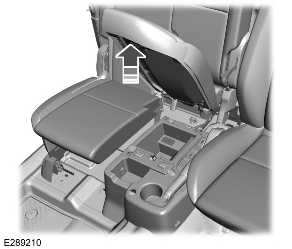 Image Shown Without Description