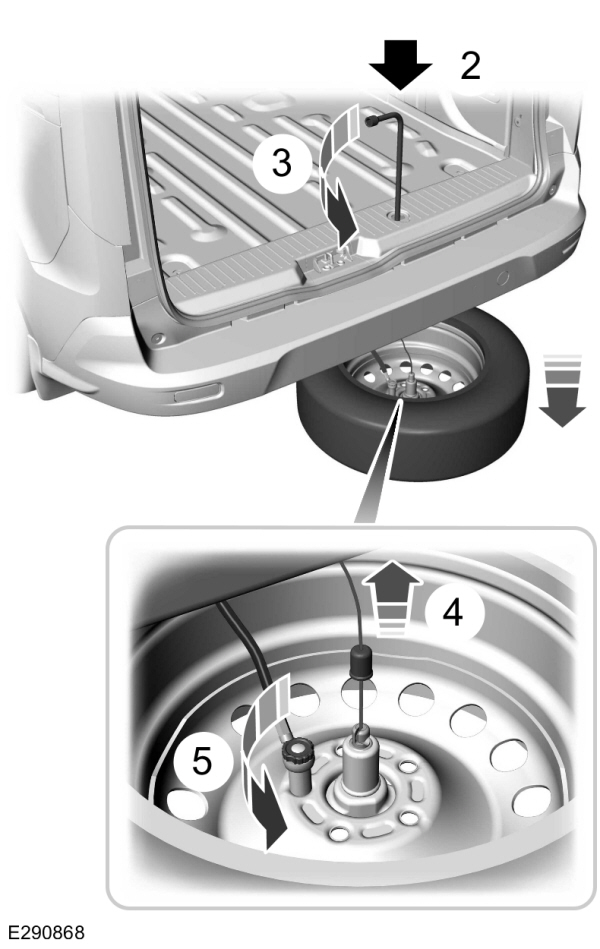 Image Shown Without Description