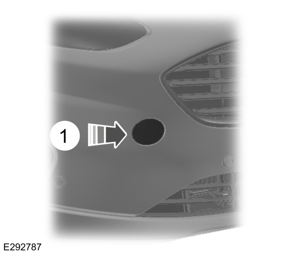 Image Shown Without Description