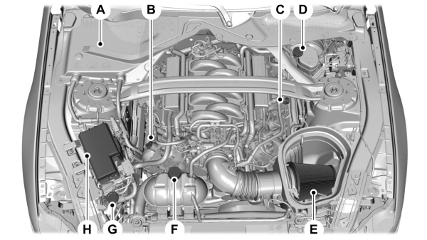 Image Shown Without Description