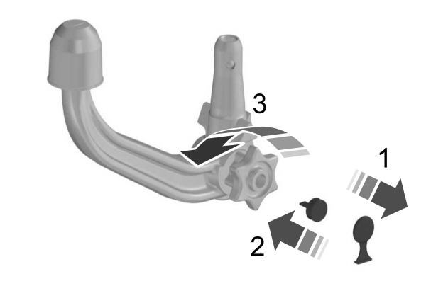 Image Shown Without Description