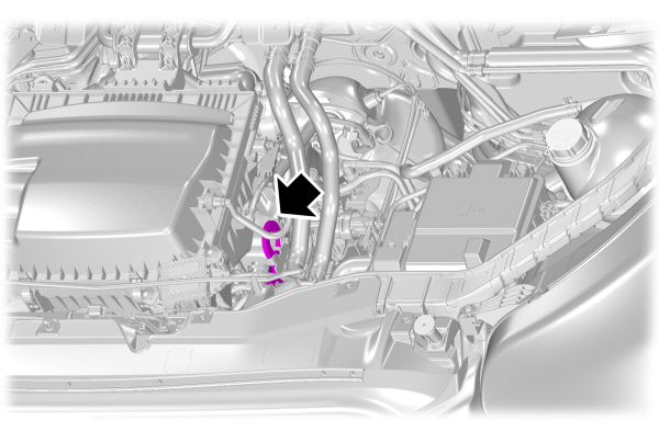 Image Shown Without Description
