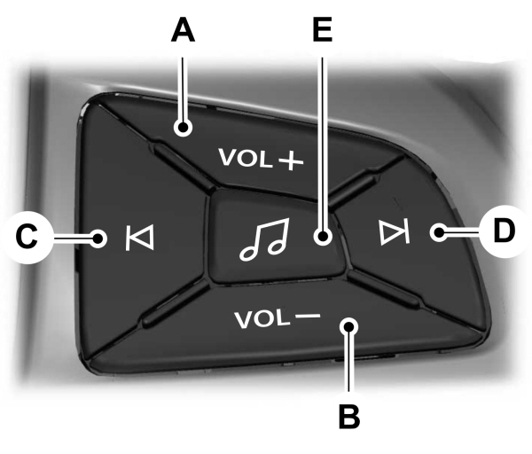 Image Shown Without Description