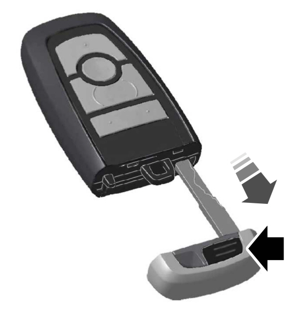 Image Shown Without Description