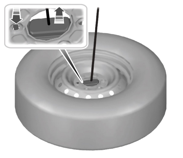 Image Shown Without Description