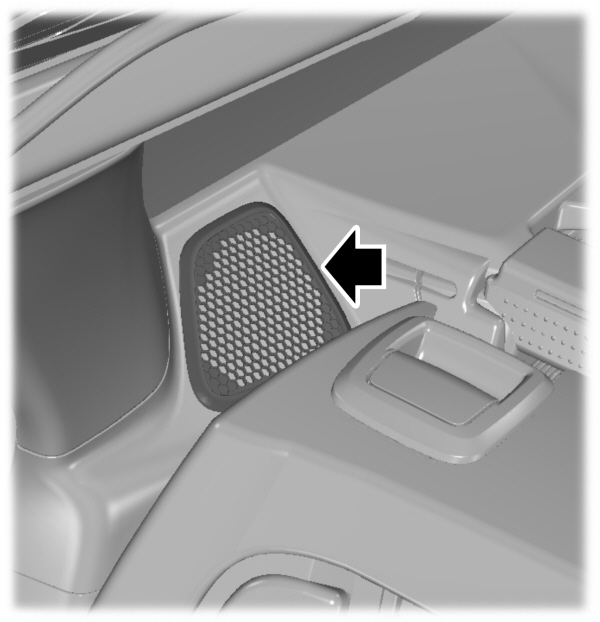 Image Shown Without Description