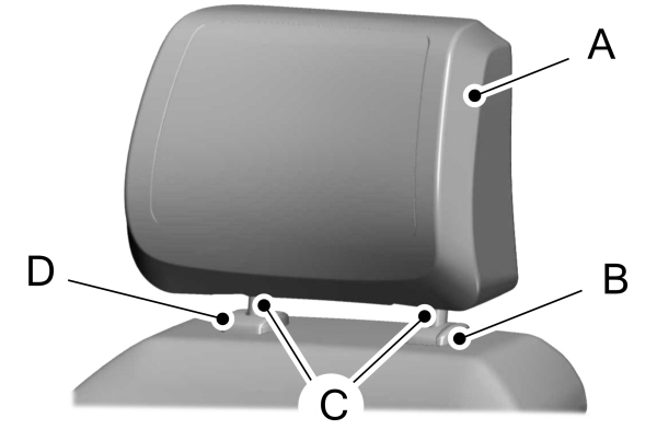 Image Shown Without Description