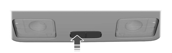 Image Shown Without Description