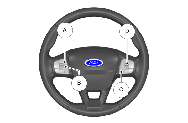 Image Shown Without Description