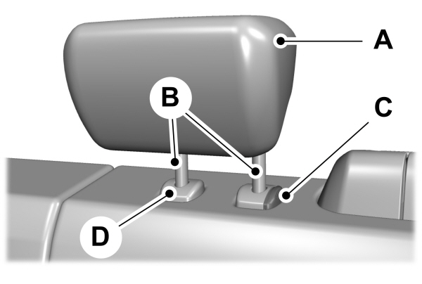 Image Shown Without Description