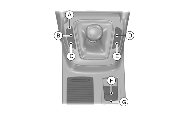 Image Shown Without Description