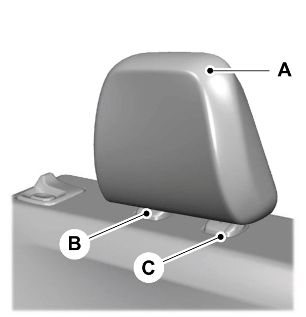 Image Shown Without Description