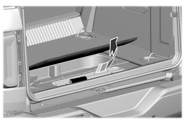 Image Shown Without Description
