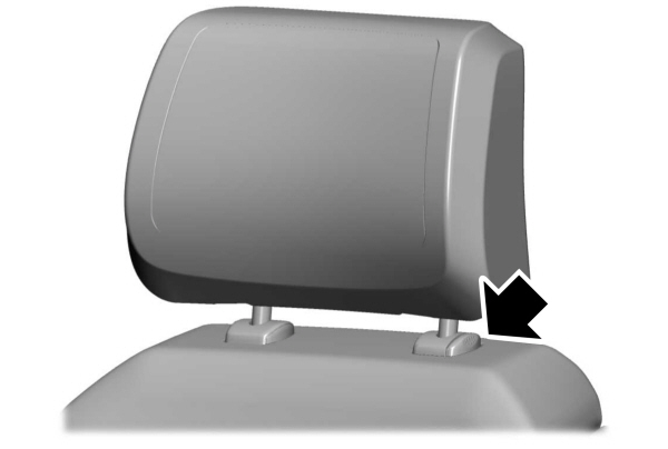 Image Shown Without Description
