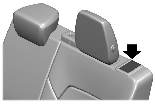 Image Shown Without Description
