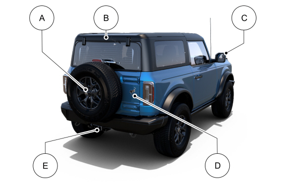 Image Shown Without Description