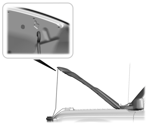 Image Shown Without Description