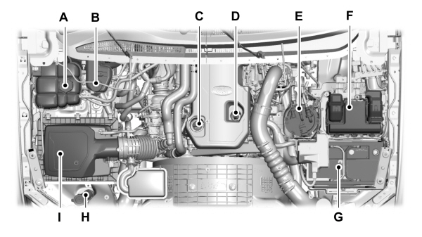 Image Shown Without Description