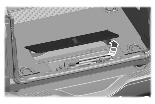 Image Shown Without Description