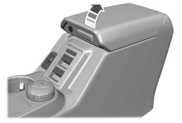 Image Shown Without Description