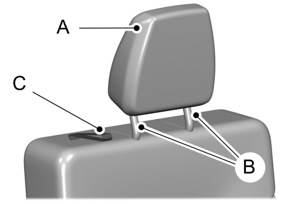 Image Shown Without Description