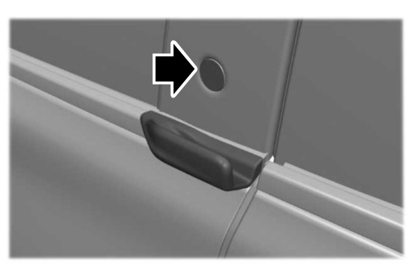 Unlock Button and Handle 