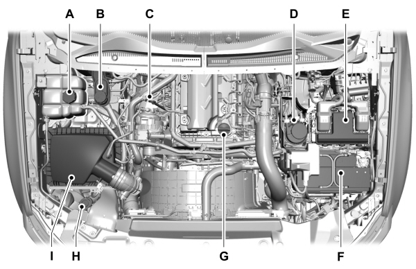 Image Shown Without Description