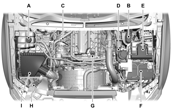 Image Shown Without Description