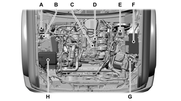 Image Shown Without Description