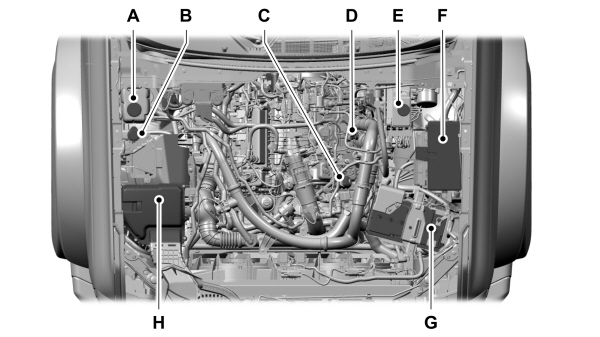 Image Shown Without Description