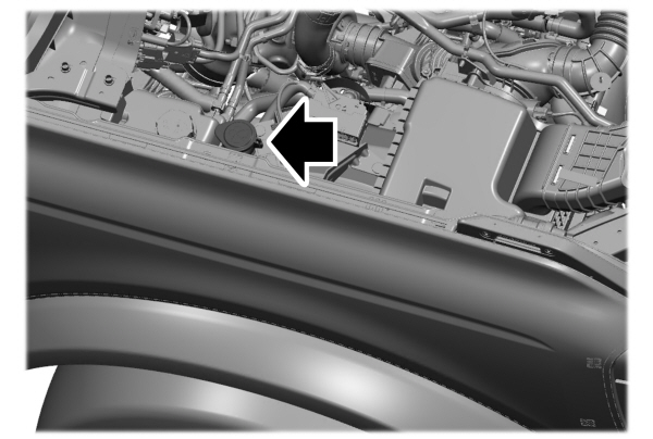 Image Shown Without Description