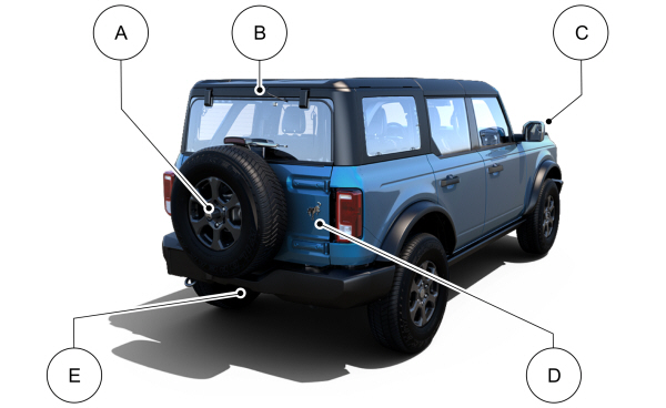 Image Shown Without Description